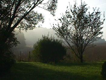 Herbststimmung